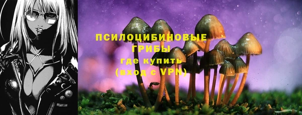 ALPHA PVP Инта