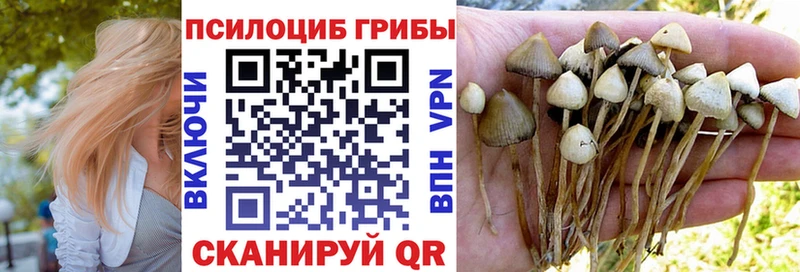Купить  Туринск  Псилоцибиновые грибы прущие грибы 